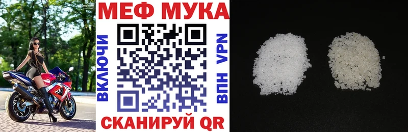 МЯУ-МЯУ мяу мяу  Кущёвская 