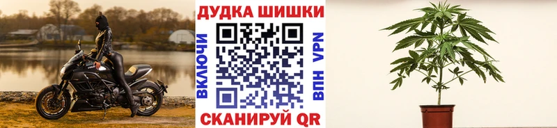 дарнет шоп  ОМГ ОМГ   МАРИХУАНА планчик  Кущёвская 